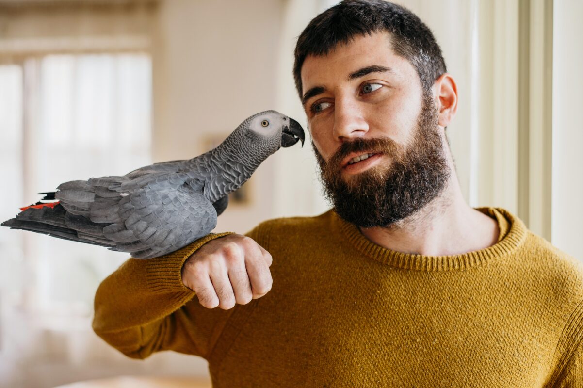 Parrot Lifespan: Learn and Care Today